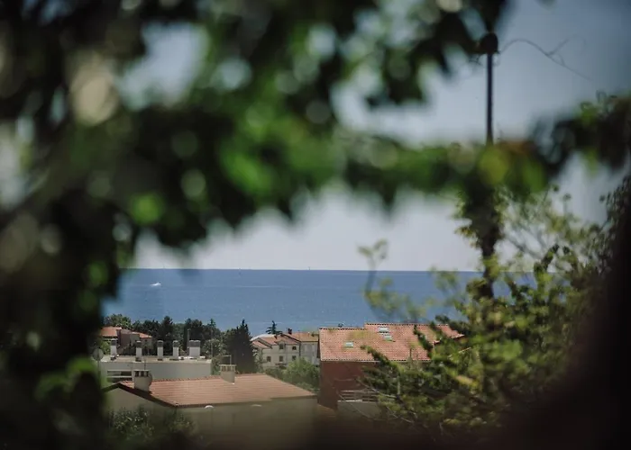Belvedere Holidays